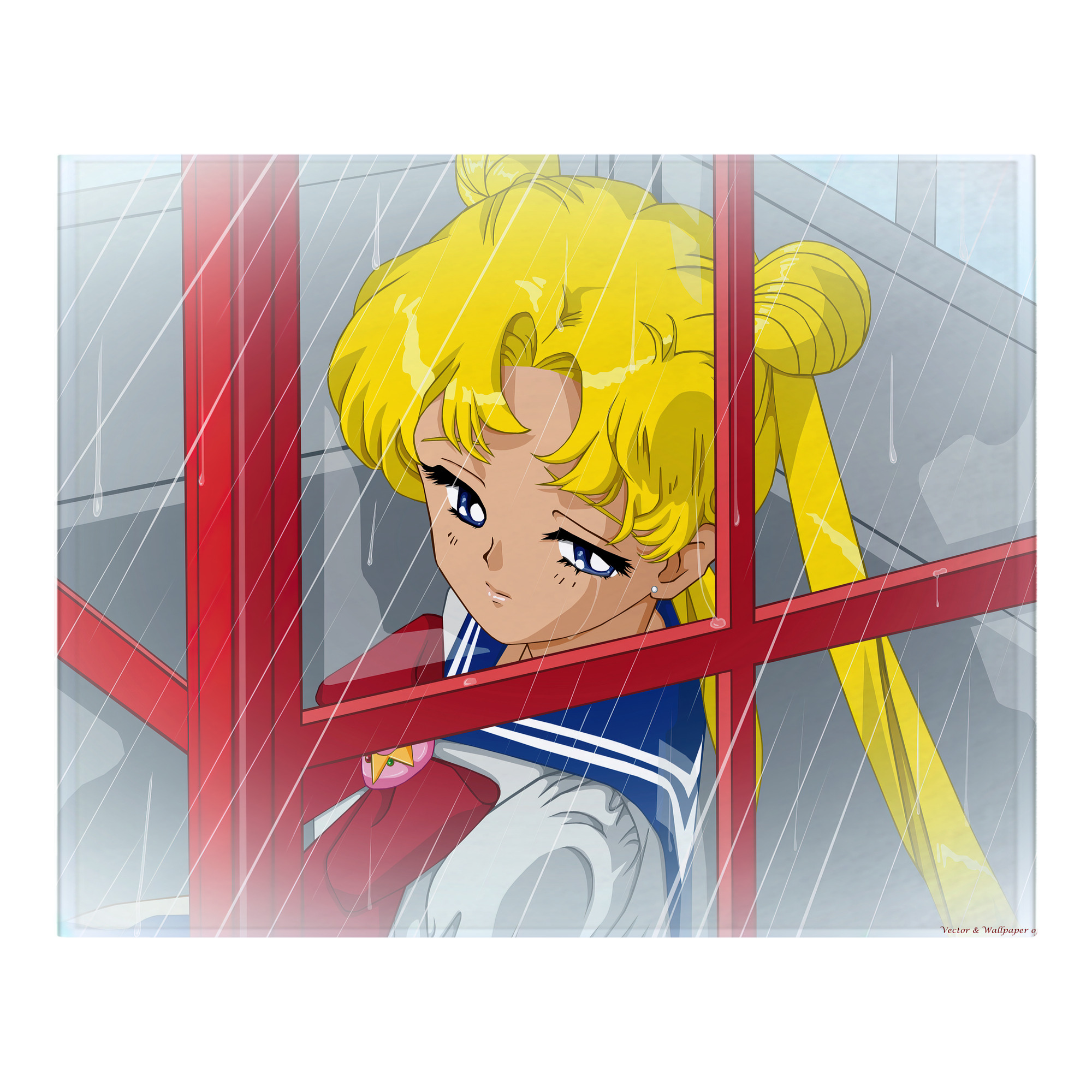 （画像用） 美少女戦士セーラームーン Sailor Moon フランネルブランケット・多サイズ対応（横型）