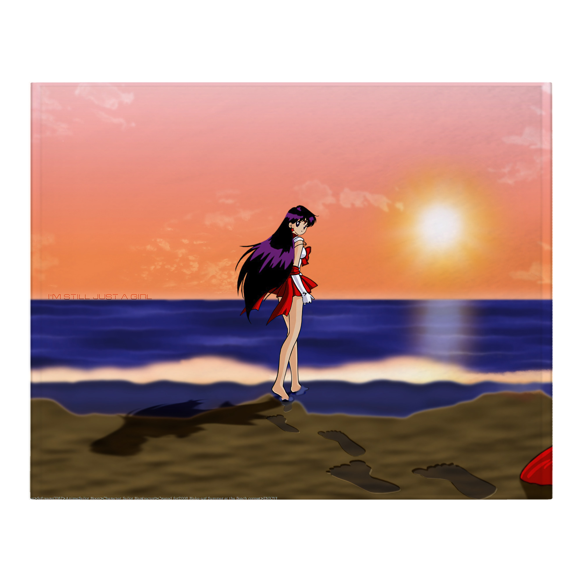 （画像用） 美少女戦士セーラームーン Sailor Moon フランネルブランケット・多サイズ対応（横型）